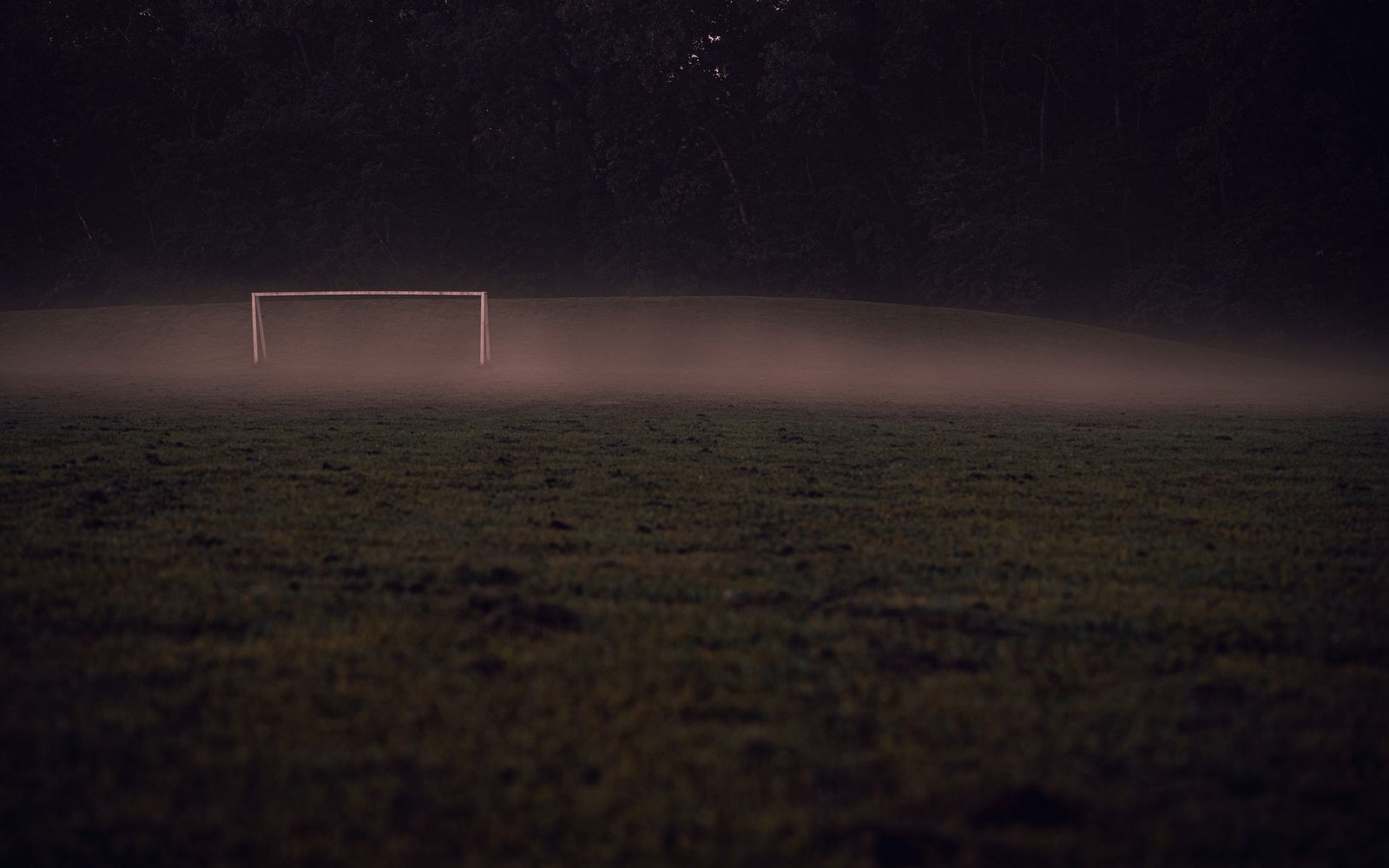 An empty soccer goal on a misty field at dusk, surrounded by dark trees