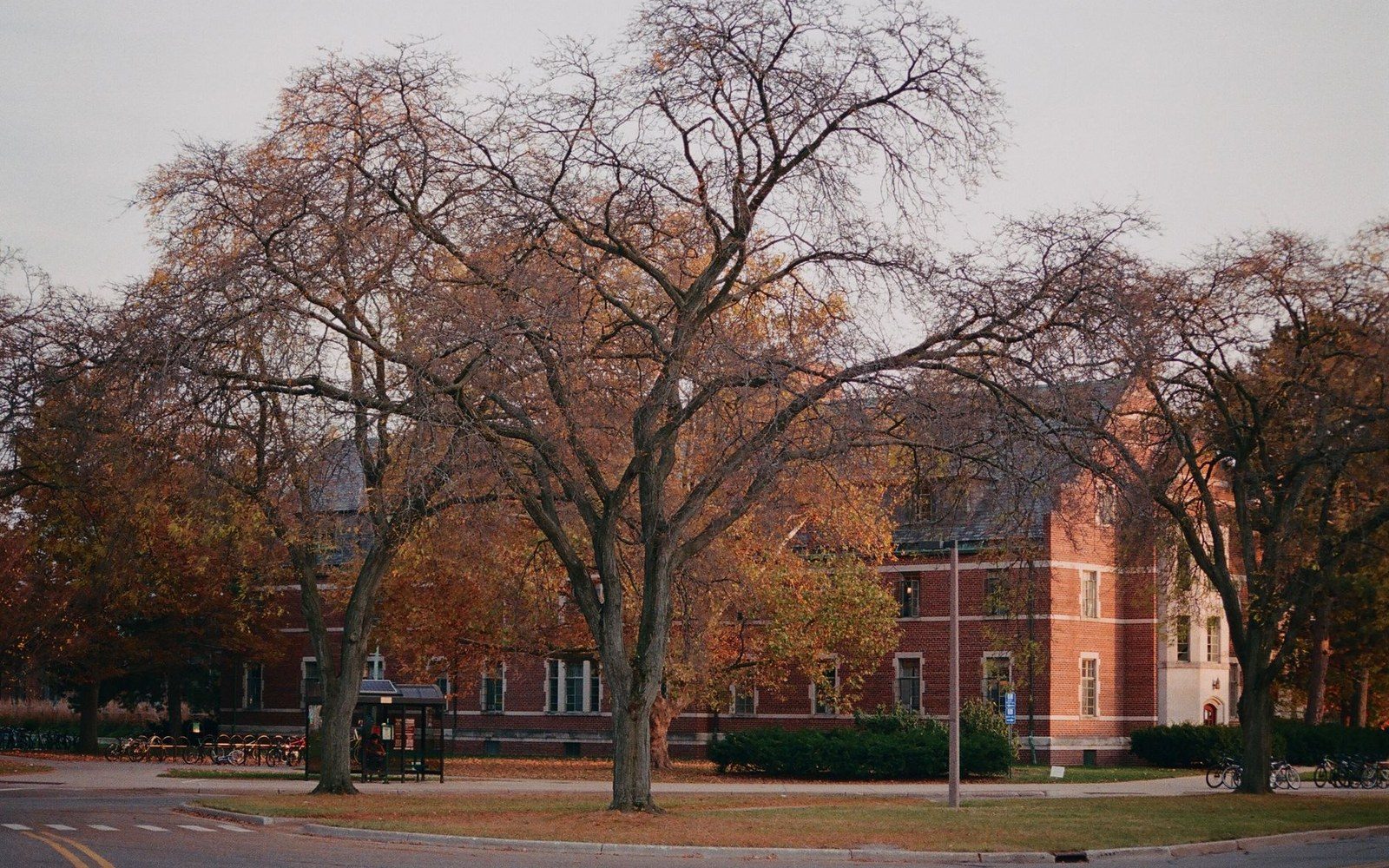 Bare autumn trees frame a brick campus building with bicycles parked along the street