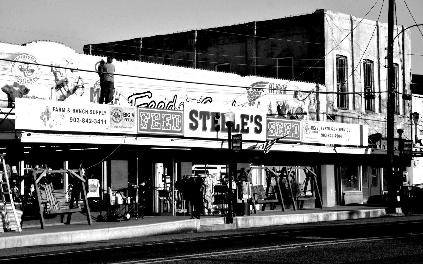 Storefront of Stelle's Feed and Seed with farm supply signage on a small-town street